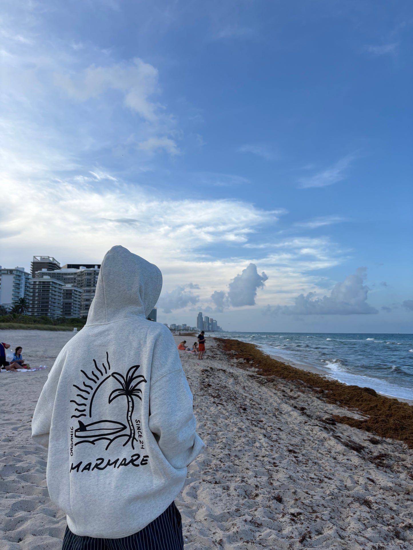 oat grey sunset surfer hoodie